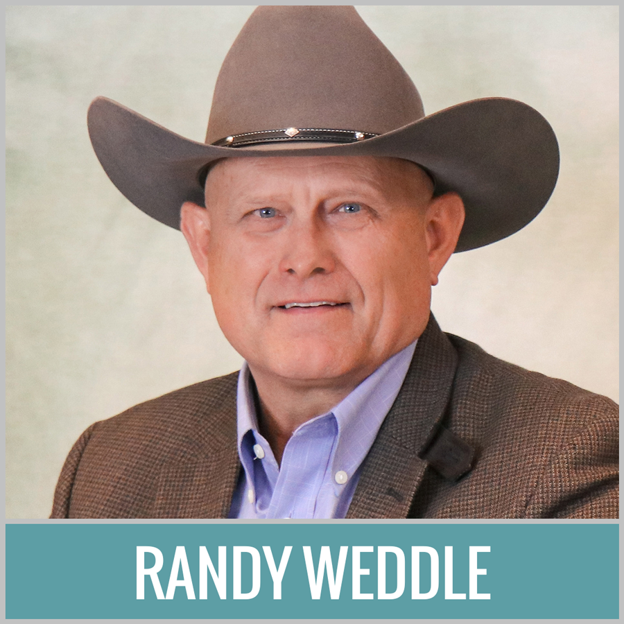 Randy Weddle