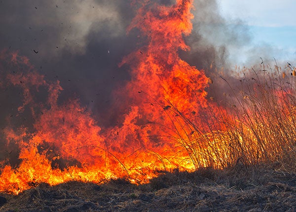 Use Caution When Burning Fields and Pastures Around Utility Poles